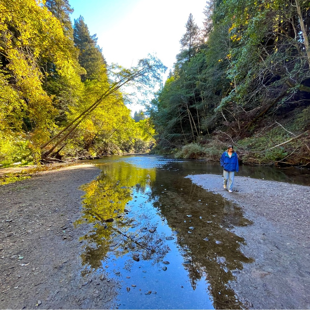 Meet your Posher, Daniella